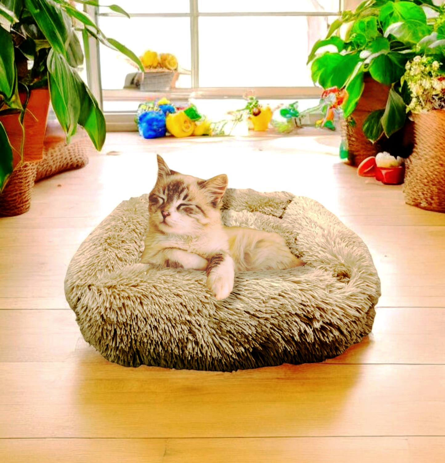 Cama de perros,Cama de gato,Color Marron ,60·50·15 Cm.