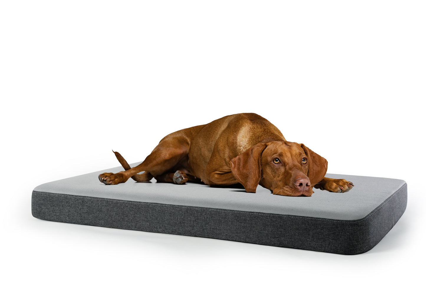 Cama de perro viscoelástica ortopédica