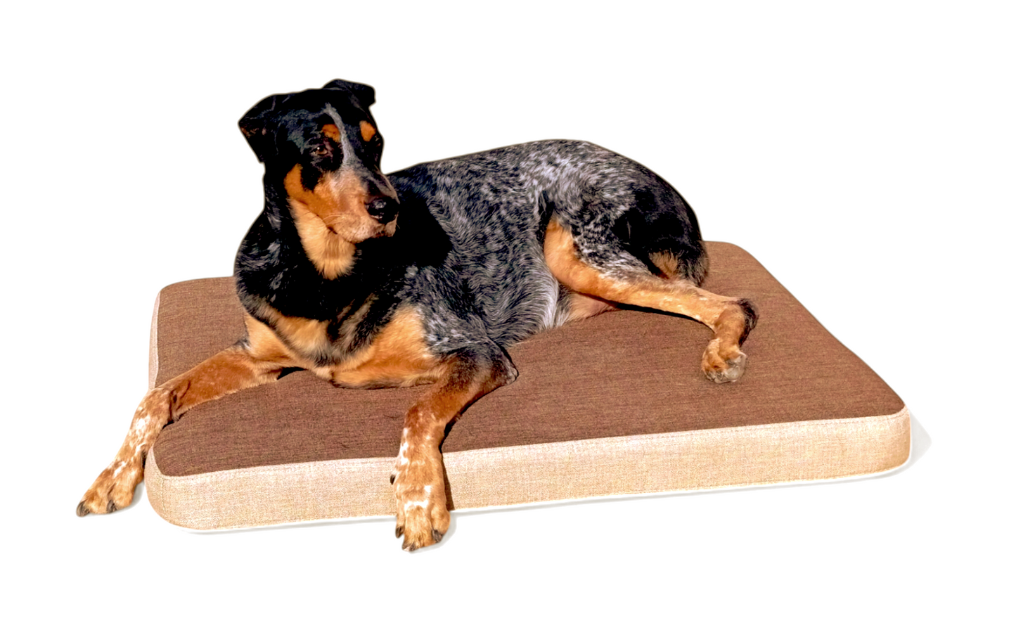 Cama de perro con viscoelástica ortopédica