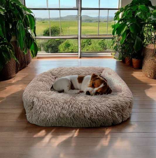 Cama de perros,Cama de gato,Color Gris claro ,60·50·15 Cm.