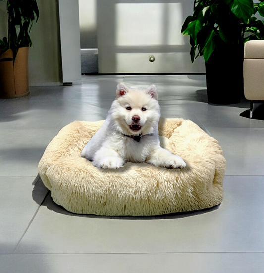 Cama de perros,Cama de gato,Color Beige ,60·50·15 Cm.