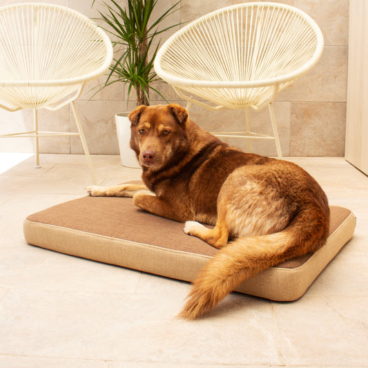 Cama de perro con viscoelástica ortopédica