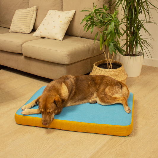 cama de perros con viscoelástica ortopédica
